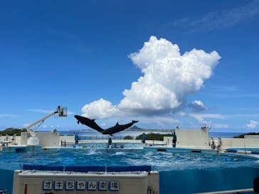 沖縄美ら海水族館に投稿された画像（2022/8/29）