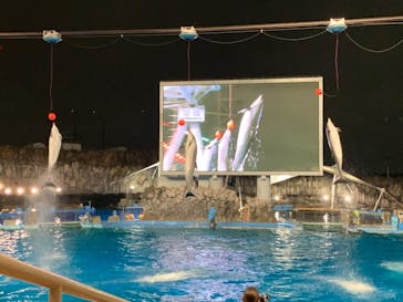 名古屋港水族館に投稿された画像（2022/8/29）