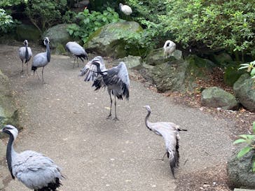 伊豆シャボテン動物公園に投稿された画像（2022/8/29）