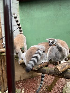 伊豆シャボテン動物公園に投稿された画像（2022/8/29）
