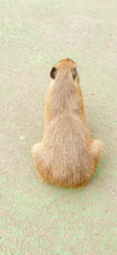 伊豆シャボテン動物公園に投稿された画像（2022/8/29）