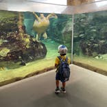 九十九島水族館海きららに投稿された画像（2022/8/30）