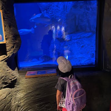 九十九島水族館海きららに投稿された画像（2022/8/29）