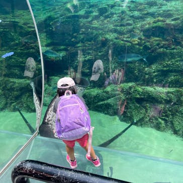 九十九島水族館海きららに投稿された画像（2022/8/29）