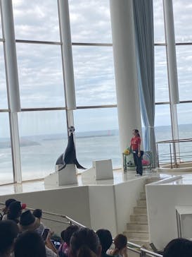 アクアワールド茨城県大洗水族館に投稿された画像（2022/8/29）