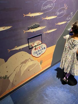 アクアワールド茨城県大洗水族館に投稿された画像（2022/8/29）