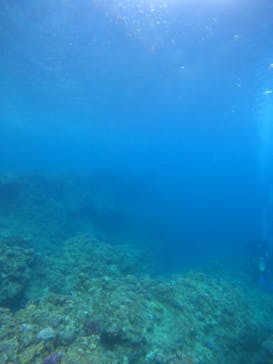 沖縄マリンサービス碧に投稿された画像（2022/8/30）