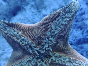 サンシャイン水族館に投稿された画像（2022/8/30）