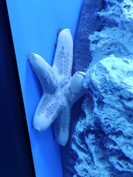 サンシャイン水族館に投稿された画像（2022/8/30）