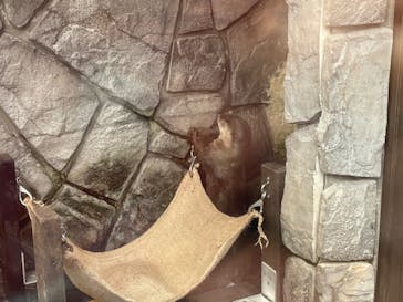 伊豆・三津シーパラダイスに投稿された画像（2022/8/30）