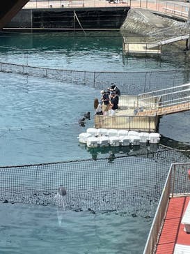 伊豆・三津シーパラダイスに投稿された画像（2022/8/30）
