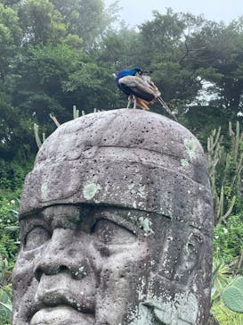 伊豆シャボテン動物公園に投稿された画像（2022/8/30）