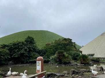 伊豆シャボテン動物公園に投稿された画像（2022/8/30）