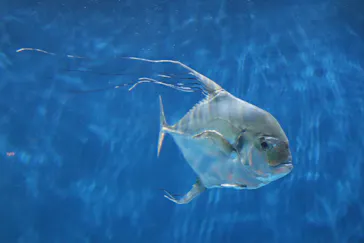 仙台うみの杜水族館に投稿された画像（2022/8/30）