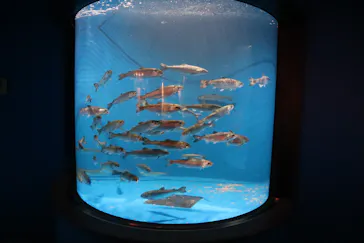仙台うみの杜水族館に投稿された画像（2022/8/30）