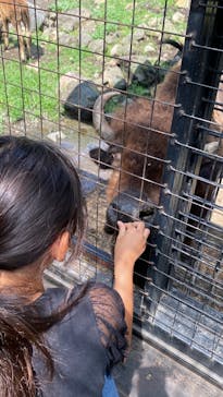 那須サファリパークに投稿された画像（2022/8/30）