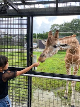 那須サファリパークに投稿された画像（2022/8/30）