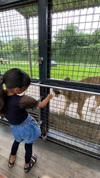 那須サファリパークに投稿された画像（2022/8/30）