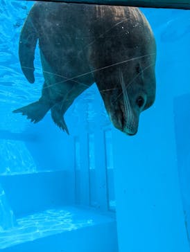 マリンワールド海の中道に投稿された画像（2022/8/30）