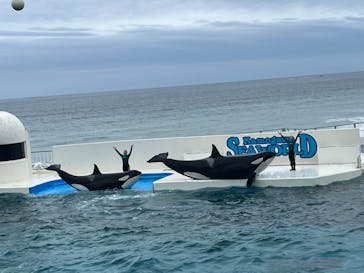 鴨川シーワールドに投稿された画像（2022/8/30）