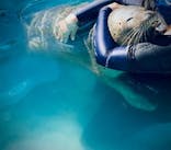 南知多ビーチランド＆南知多おもちゃ王国に投稿された画像（2022/8/28）