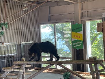 のぼりべつクマ牧場に投稿された画像（2022/8/30）