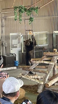 のぼりべつクマ牧場に投稿された画像（2022/8/30）