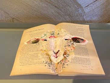 神戸六甲ミーツ・アート2025 beyondに投稿された画像（2022/8/30）