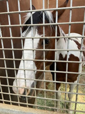 ノーザンホースパークに投稿された画像（2022/8/30）