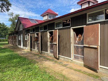 ノーザンホースパークに投稿された画像（2022/8/30）