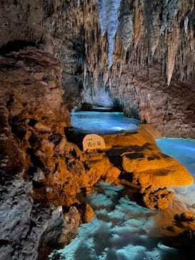 おきなわワールドに投稿された画像（2022/8/30）