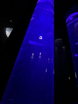 サンシャイン水族館に投稿された画像（2022/8/30）