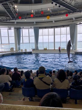 アクアワールド茨城県大洗水族館に投稿された画像（2022/8/30）