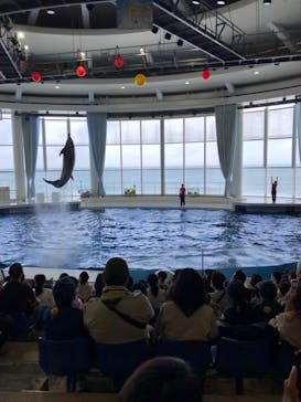 アクアワールド茨城県大洗水族館に投稿された画像（2022/8/30）