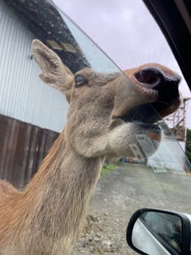 那須サファリパークに投稿された画像（2022/8/30）