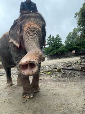 那須サファリパークに投稿された画像（2022/8/30）