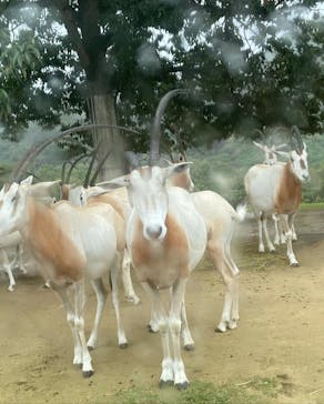 姫路セントラルパークに投稿された画像（2022/8/30）