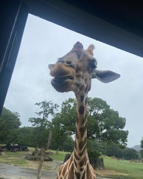 姫路セントラルパークに投稿された画像（2022/8/30）