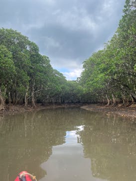 マングローブ茶屋に投稿された画像（2022/8/30）