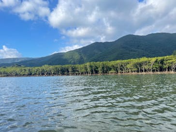 マングローブ茶屋に投稿された画像（2022/8/30）