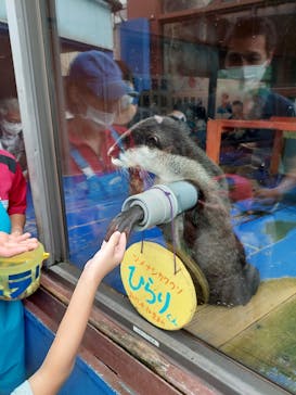 ゼロ距離水族館 伊勢シーパラダイスに投稿された画像（2022/8/30）