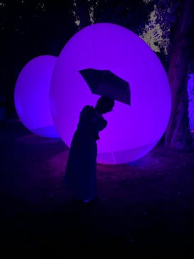 チームラボ ボタニカルガーデン 大阪に投稿された画像（2022/8/30）