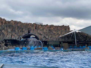 名古屋港水族館に投稿された画像（2022/8/30）