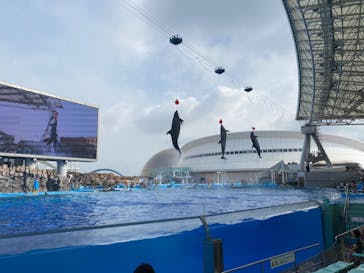 名古屋港水族館に投稿された画像（2022/8/30）