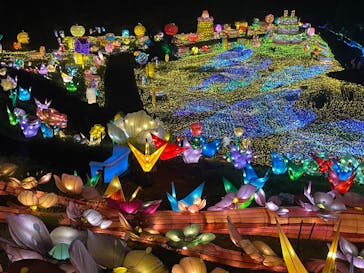 伊豆ぐらんぱる公園に投稿された画像（2022/8/30）