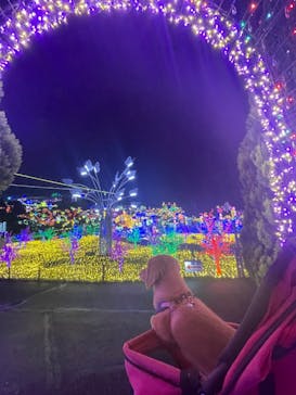 伊豆ぐらんぱる公園に投稿された画像（2022/8/30）