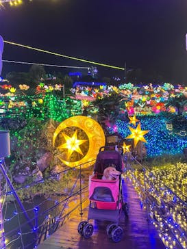 伊豆ぐらんぱる公園に投稿された画像（2022/8/30）