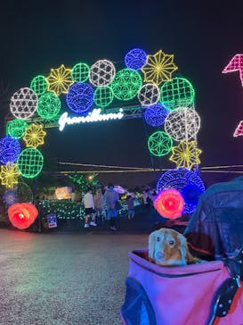 伊豆ぐらんぱる公園に投稿された画像（2022/8/30）