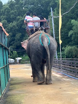 那須ワールドモンキーパークに投稿された画像（2022/8/30）