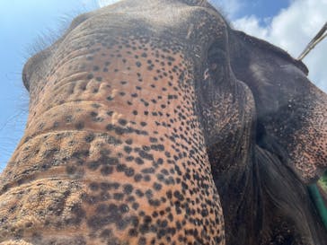 那須ワールドモンキーパークに投稿された画像（2022/8/30）